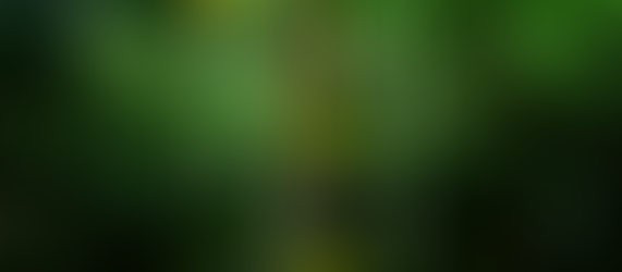 『和樂web』で紹介されました。