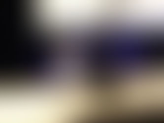 鷹ノ目（ホークアイ）の海外輸出の準備を開始いたしました。
