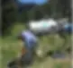 becks history technician pumping septic tank