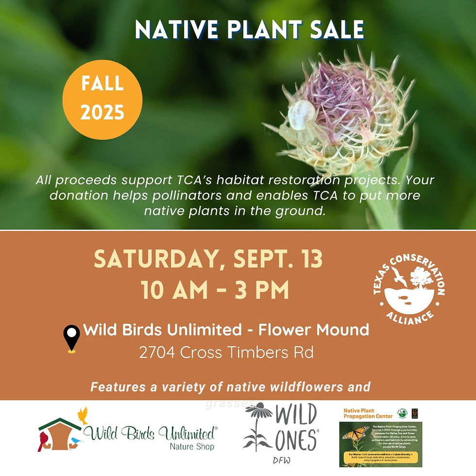 Plant Sale at WBU Flower Mound
