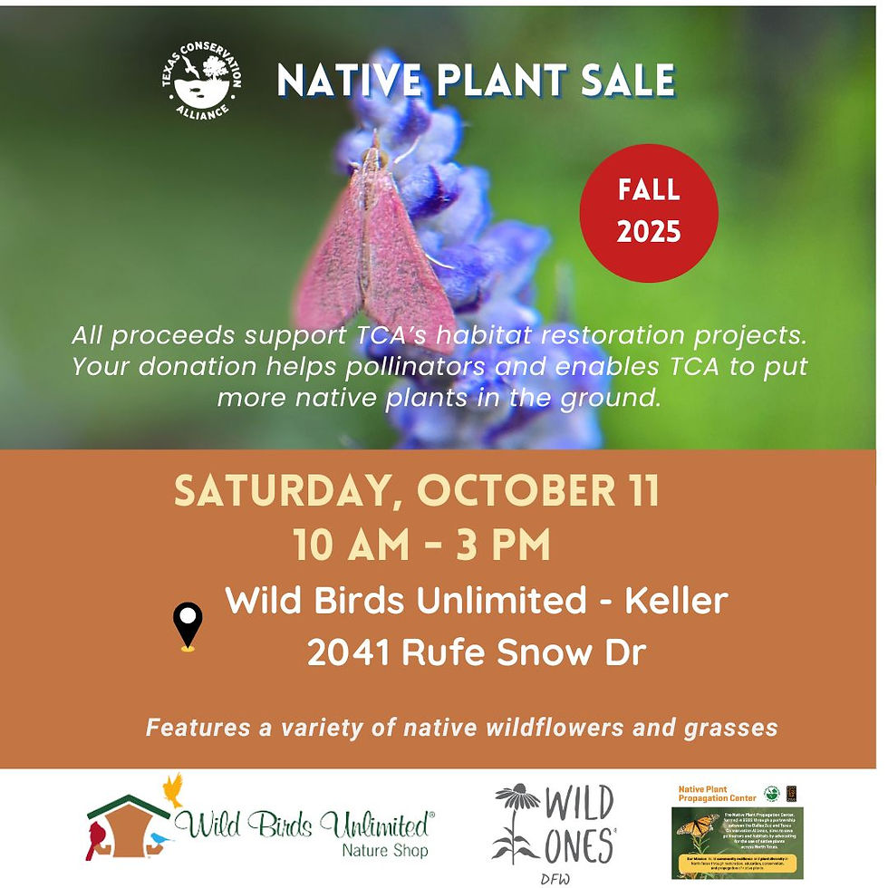 Plant Sale at WBU Keller
