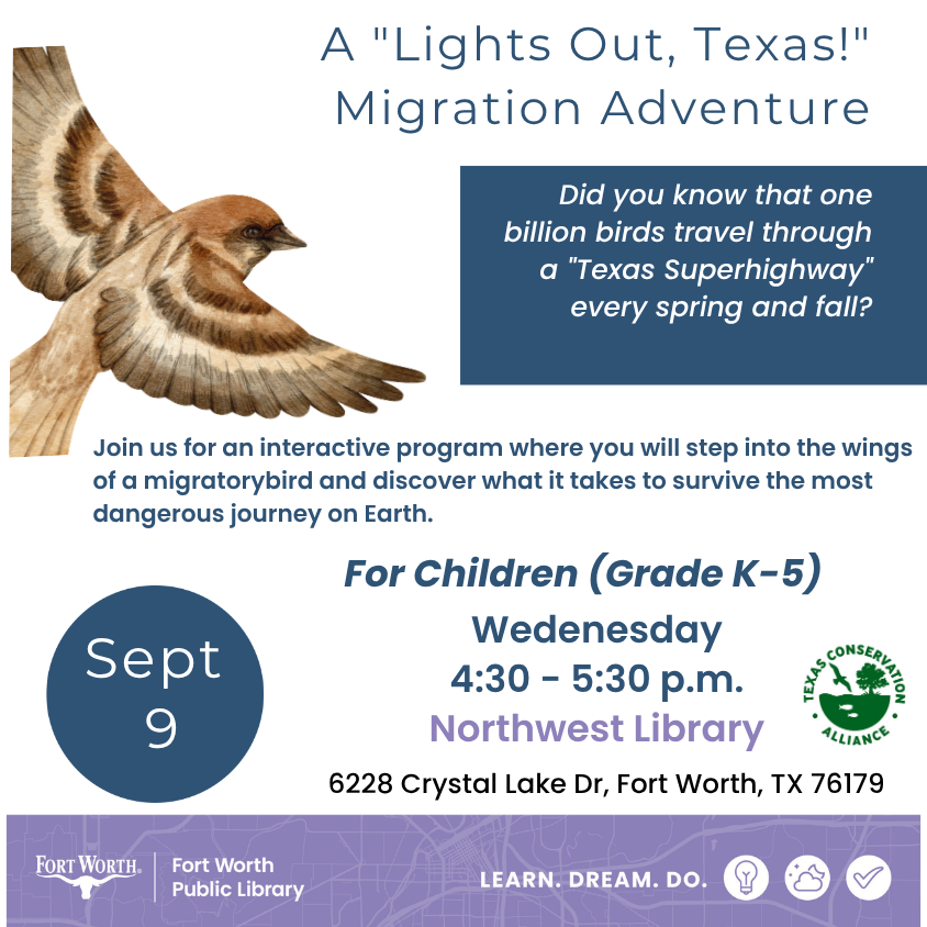 A "Lights Out, Texas!" Migration Adventure