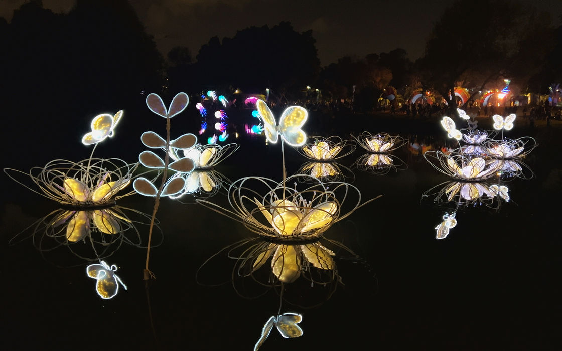 Symphony of Light