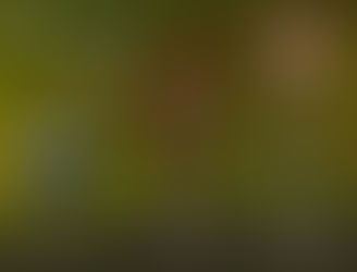 Elsina Hell Box Art ready