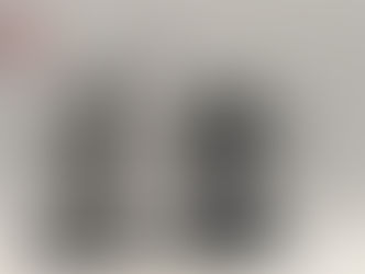 First test model printed for size comparison