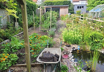 Garden Maintenance & Planting