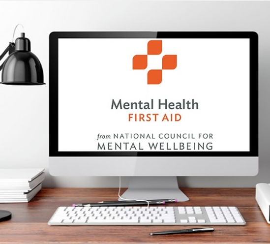 mhfa computer promo pic.jpg