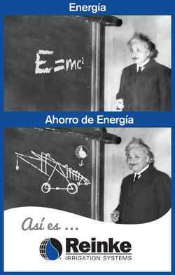 Reinke Einstein