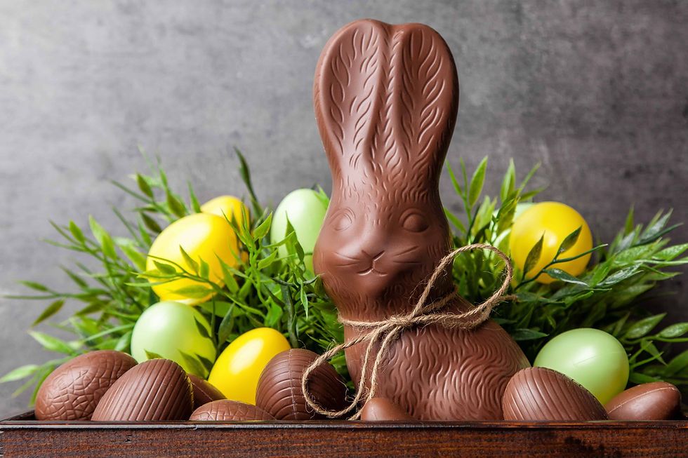 Il coniglio di Pasqua