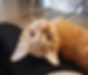 20241103_114706.heic