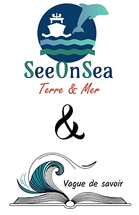 SeeOnSea&Vds.png