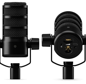 RODEPOD B.jpg