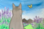 Pick & Paint