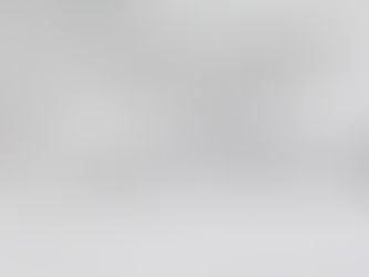 Plan de Proteccion ante Deportacion