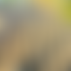 Cape Coral tile roof covered in mold and discoloration before professional pressure washing service.