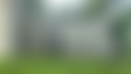 Dirty and stained wood fence before professional pressure washing, enhancing curb appeal and landscaping in Cape Coral, FL.