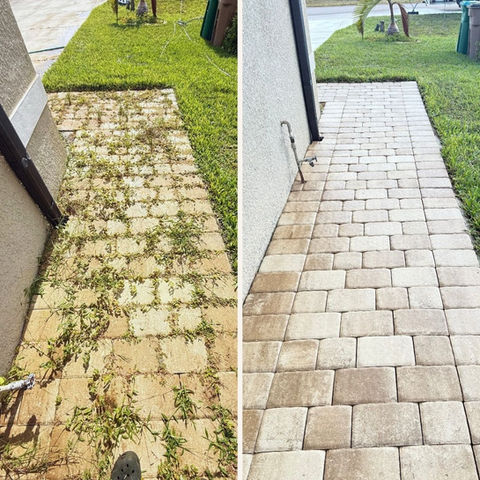 Weed-infested paver walkway near Trafalgar and Chiquita in Cape Coral cleaned and restored in preparation for paver sealing.