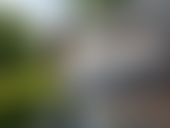 DIY roof cleaning risks compared to professional soft wash roof cleaning on a Cape Coral home.