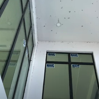 insect debris on high exterior ceiling of newly construction home