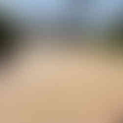 After photo of a restored paver driveway in Cape Coral with rich, warm colors enhanced by professional paver sealing.