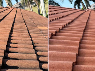 Side-by-side comparison of a Cape Coral tile roof before and after soft wash cleaning.