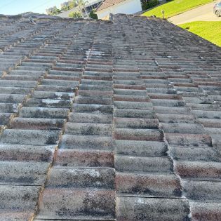 Dirty tile roof in Cape Coral showing heavy algae and mildew buildup before cleaning.