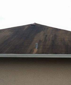 Cape Coral shingle roof covered in black streaks, algae, and mildew before soft wash cleaning.