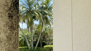 Black and green algae stains on a Cape Coral home exterior before professional house washing soft wash treatment