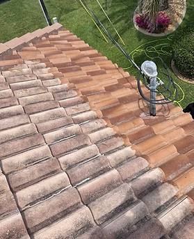 Detergent Transforming a Tile Roof