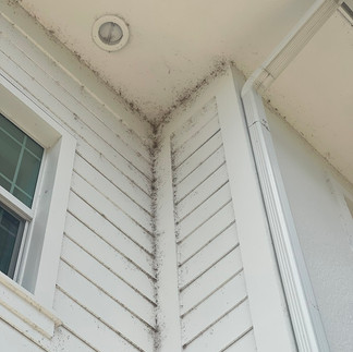 Before image showing the impact of grime and insect marks on a Fort Myers home near the water.