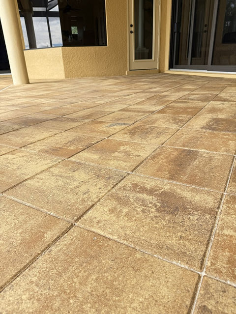 Close-up of sealed pool deck pavers in Cape Coral with enhanced color and a smooth, protected finish after professional paver sealing.