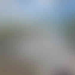 Concrete dock in Cape Coral before cleaning, coated in dirt and algae buildup, making the surface look worn and slippery.