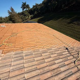 Cape Coral tile roof with visible black algae streaks and green mildew growth — showing why regular soft wash roof cleaning is essential in Southwest Florida's humid climate