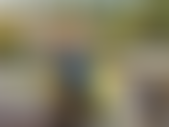 Handyman Dade City professional repairing loose railings and performing routine maintenance on a Florida home.