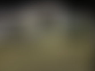 Handyman Dade City installing permanent Christmas lights on a home in Asbel Estates, Land O’ Lakes FL