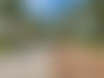 Sun-faded and rain-stained unsealed pavers on a Cape Coral driveway showing moisture damage and color loss before professional paver sealing.