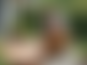 Local handyman in Dade City performing preventative maintenance inside a home, inspecting and repairing small issues to help homeowners avoid costly repairs.