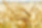 AdobeStock_242117501.jpeg