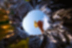 AdobeStock_335717485.jpeg