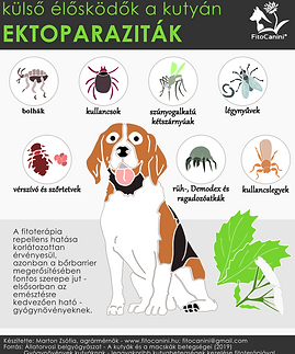 5. ektoparaziták_ fitocanini.png
