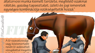 Adásvételi vagy szavatossági vizsgálat lovaknál