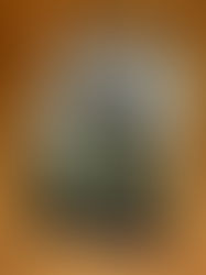 Shabbat Reading: Left in Dark Times