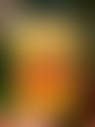 Shabbat Reading: Barbarism with a Human Face