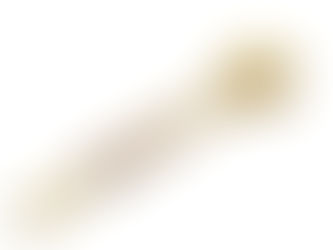 A NEW LEVEL OF AUTHORITY