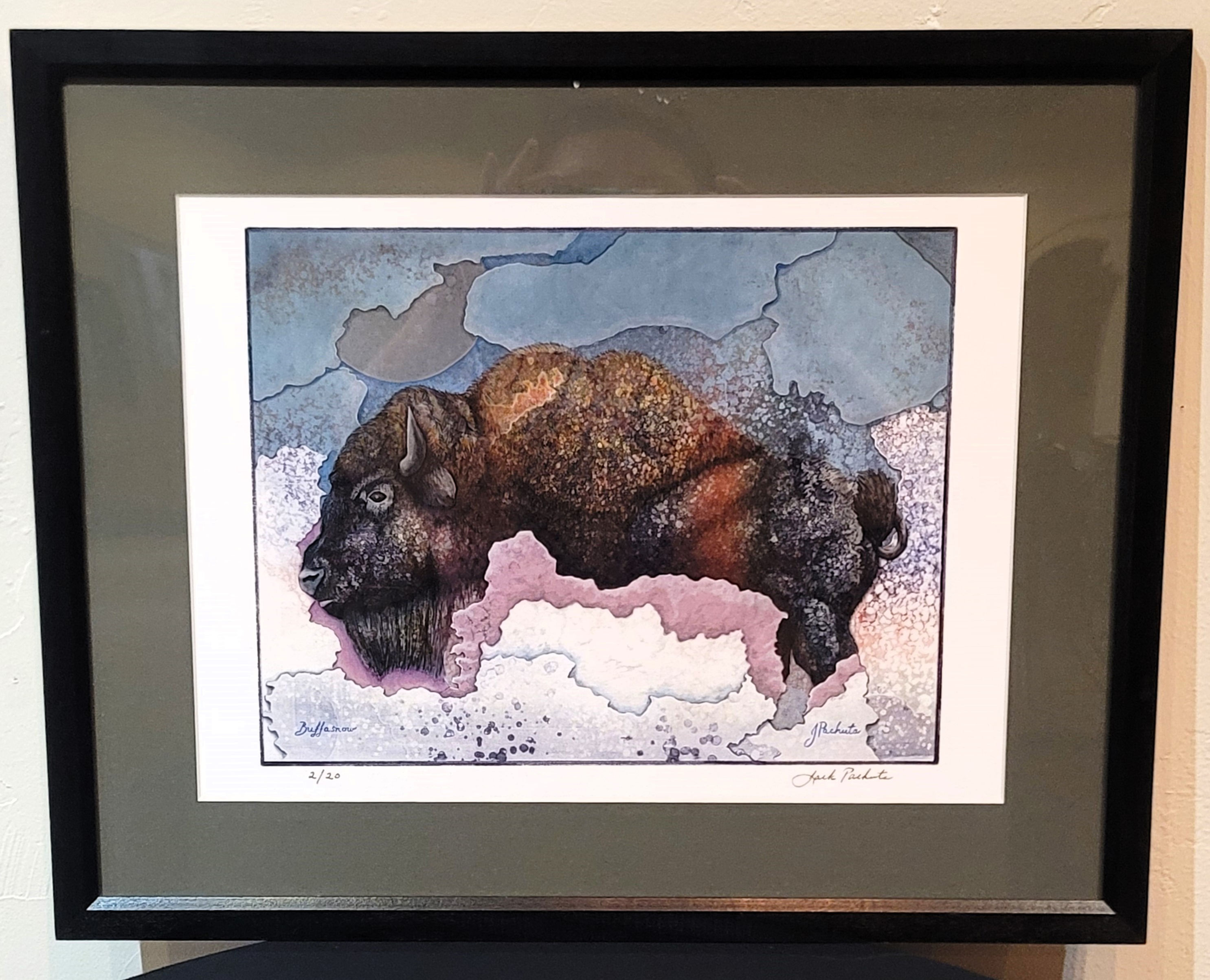 Buffasnow Framed and Matted Picture by Jack Pachuta