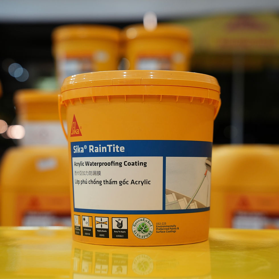 Sika RainTite 4Kg