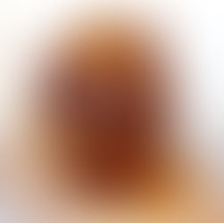 chocolate orange ganache brownies