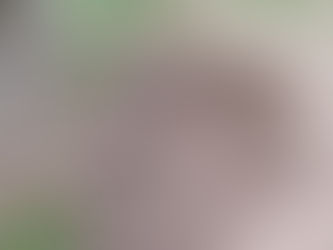 Godišnja šteta na zelenilu naselja preko pola miliona dinara! Čuvajmo naselje!