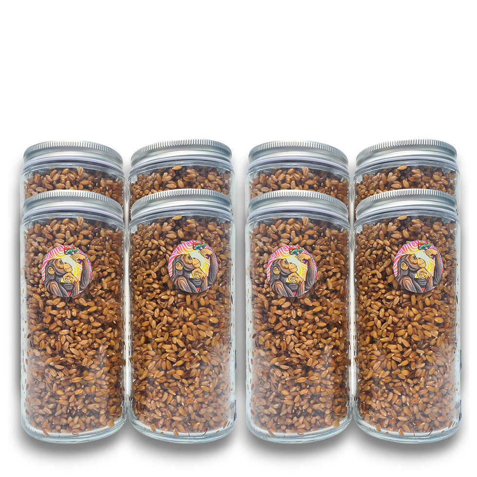 Thumbnail: Rye Grain Substrate Jars