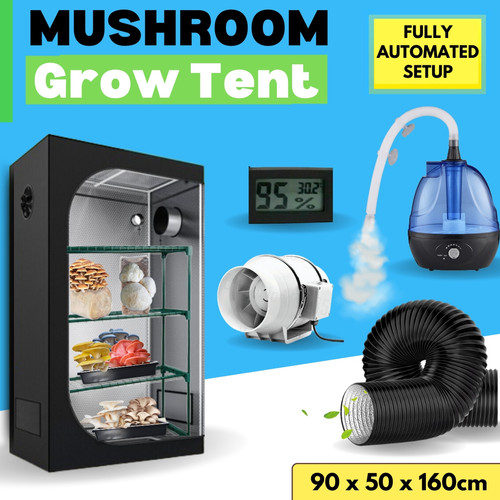 Automated Mushroom Grow Tent Curious Ape Mushroom
